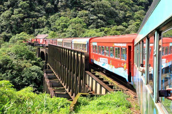 Trem turístico de passageiros atravessando ponte histórica na Serra do Mar paranaense, rodeado por mata atlântica densa.